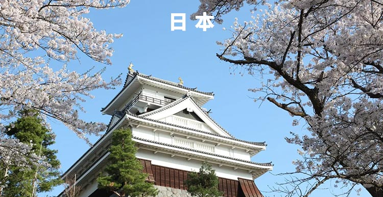 新西兰货物延误通知